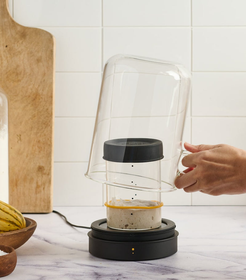 Sourhouse Goldie heated sourdough starter kit, imported from the UK