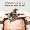 Polytar Medicated Scalp Shampoo Antiseptic 150ml, imported from the UK