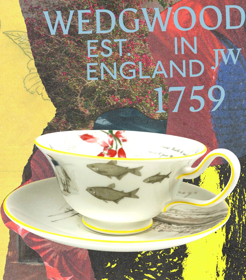 Wedgwood bone china tea set with Voyage of the Beagle design, 3-piece set (British brand)