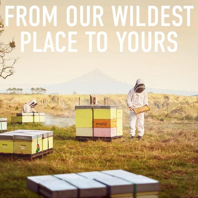 Egmont Honey 70 MGO Manuka Honey 500g