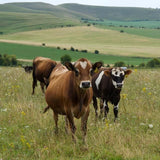 Ember Snacks Biltong Original 250g