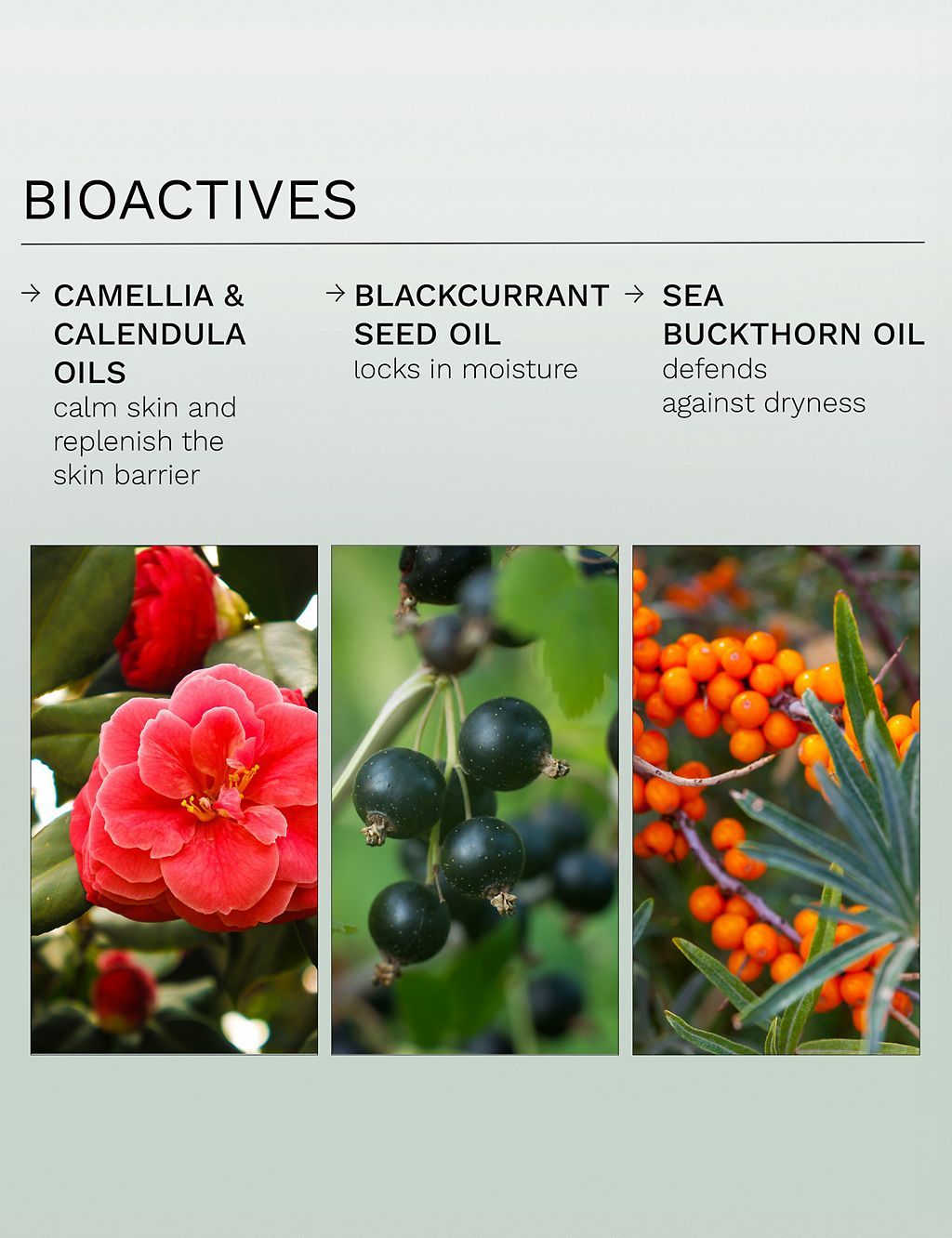 Evercalm™ Global Protection Day Cream 50ml