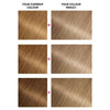 Garnier Nutrisse Light Blonde 9 Permanent Hair Dye, UK version