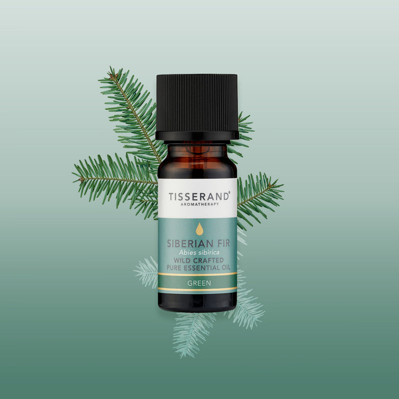 Tisserand Siberian Fir essential oil 9ml (British brand)