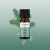 Tisserand Siberian Fir essential oil 9ml (British brand)