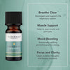 Tisserand Siberian Fir essential oil 9ml (British brand)