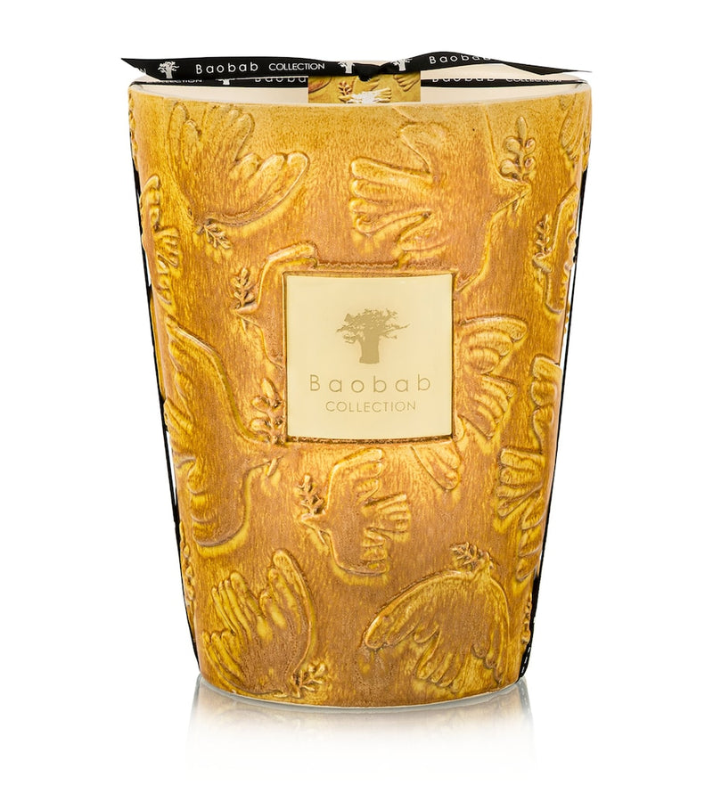 Baobab Dove scented candle 6kg - British product
