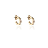 Superdrug Cachet Saga 12mm Hoop Earrings- Buy online at McGrocer