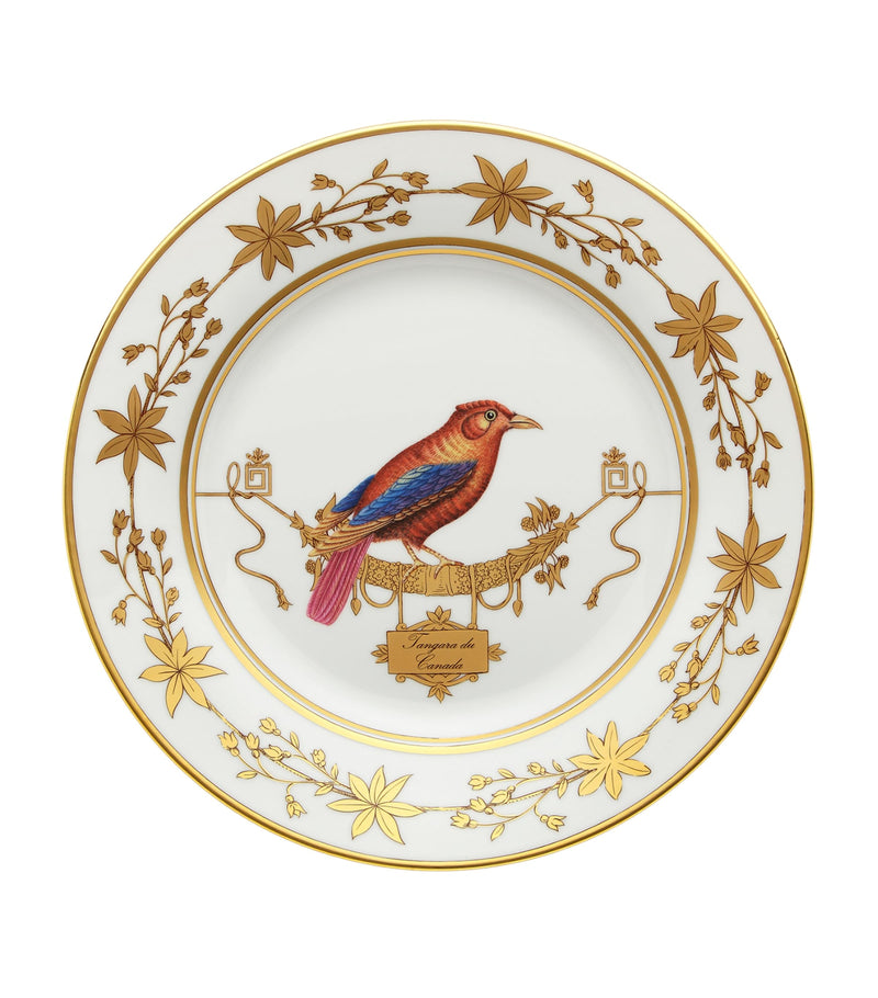 GINORI 1735 Volière Tanager dinner plate 26.5cm (British brand)