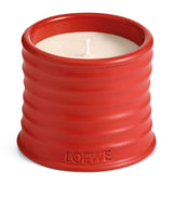 Harrods LOEWE Small Tomato Leaves Scented Candle 170g- Buy online at McGrocer