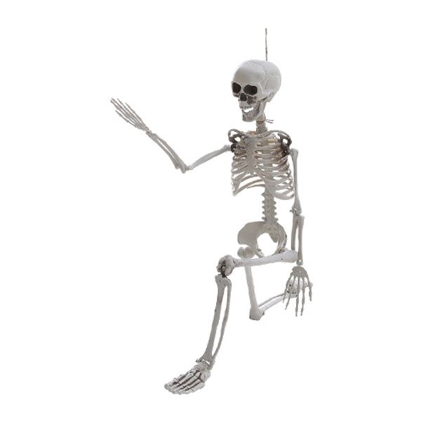 Livingandhome poseable skeleton 85cm Halloween prop - British product