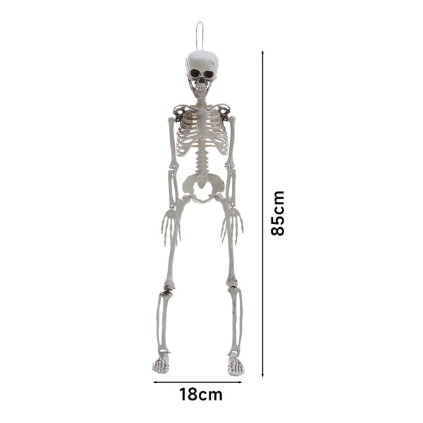 Livingandhome poseable skeleton 85cm Halloween prop - British product