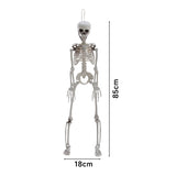Livingandhome poseable skeleton 85cm Halloween prop - British product