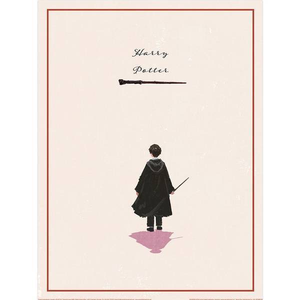 Harry Potter Looking Forward print, imported from the UK