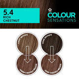 Superdrug hair colour Rich Chestnut 5.4 (British brand)