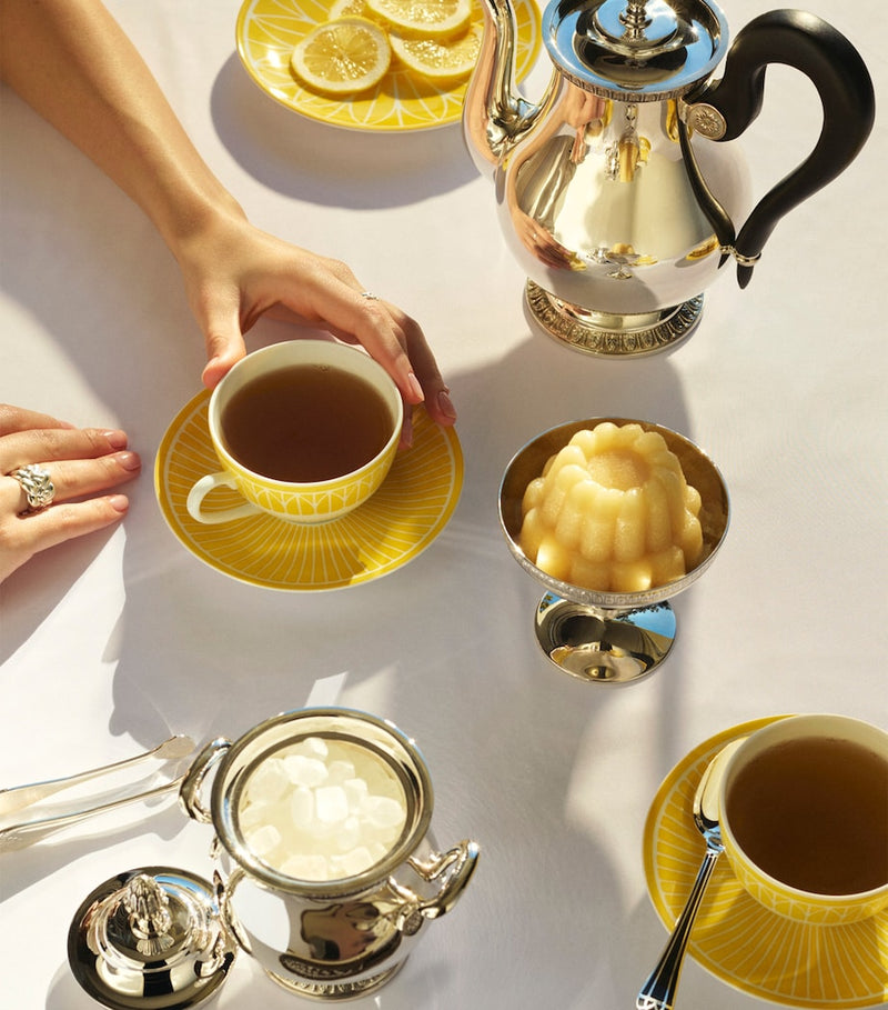 Christofle porcelain teacup and saucer Malmaison Riviera, UK version