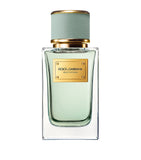 Dolce&Gabbana Velvet Infusion eau de parfum 100ml (British brand)