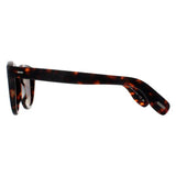 Oliver Peoples Cary Grant OV5413SU Brown sunglasses, UK version
