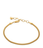 Monica Vinader gold vermeil Heirloom bracelet, UK version