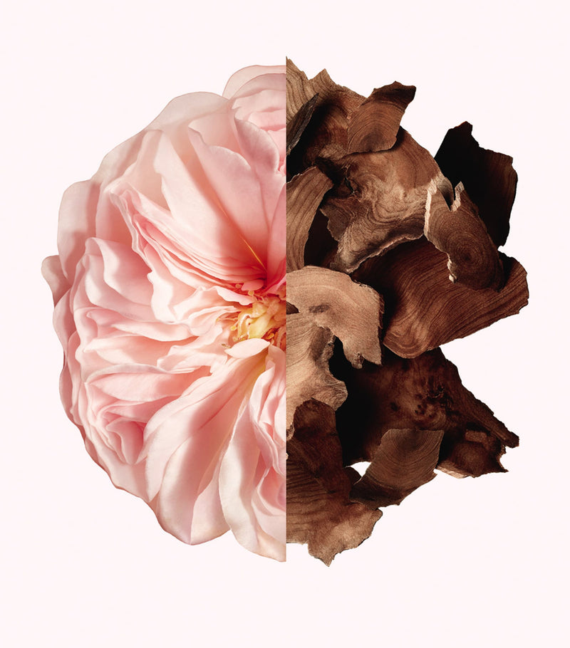 Givenchy Irresistible body milk 200ml, UK version
