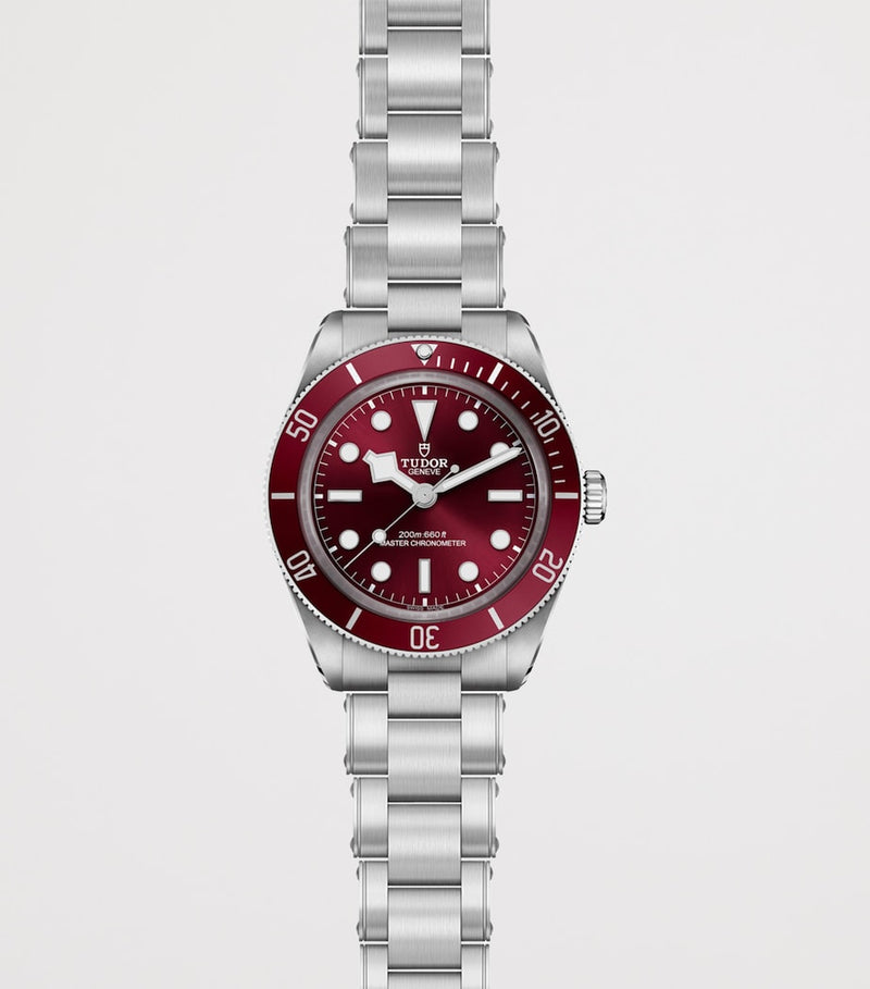 TUDOR Black Bay 58 steel watch 39mm (British brand)