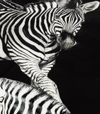 Dolce&Gabbana Casa Silk Zebra Quilted Throw 140cm x 180cm - British product