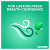 Listerine Freshburst Anti-Bacterial Mouthwash 500ml, UK version