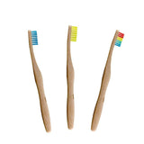 Superdrug Dr Botanicals Vibrant Bamboo Toothbrush Kit Manual Toothbrush- Buy online at McGrocer