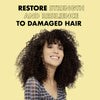 SheaMoisture Jamaican Black Castor Oil Conditioner 384ml (British brand)