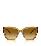 Harrods Versace Acetate Medusa Sunglasses- Buy online at McGrocer
