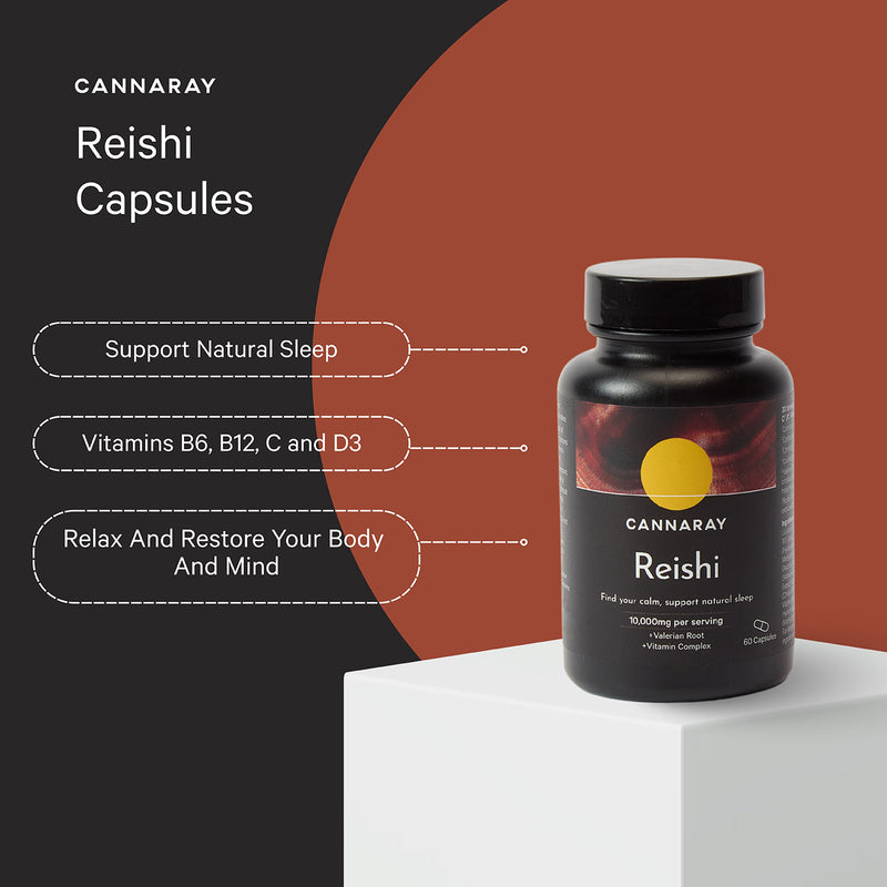 Cannaray Sleep & Focus supplement bundle - British product