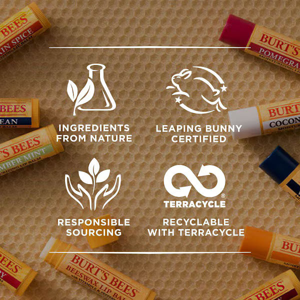 Burt's Bees lip balm beeswax 4.25g - British product