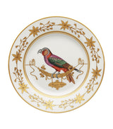 Harrods GINORI 1735 Volière Perroquet Nestor Porcelain Dinner Plate 26.5cm- Buy online at McGrocer
