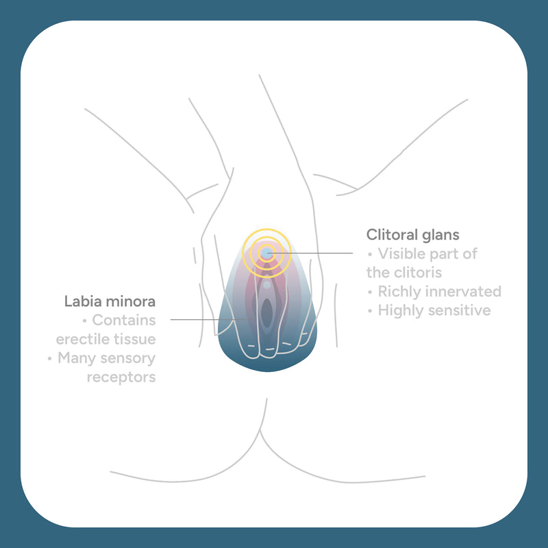 Smile Makers Ballerina vulva vibrator compact silicone (British brand)