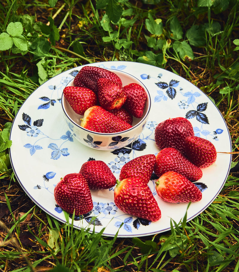 Wedgwood Wild Strawberry Inky Blue dinner plate 27cm (British brand)