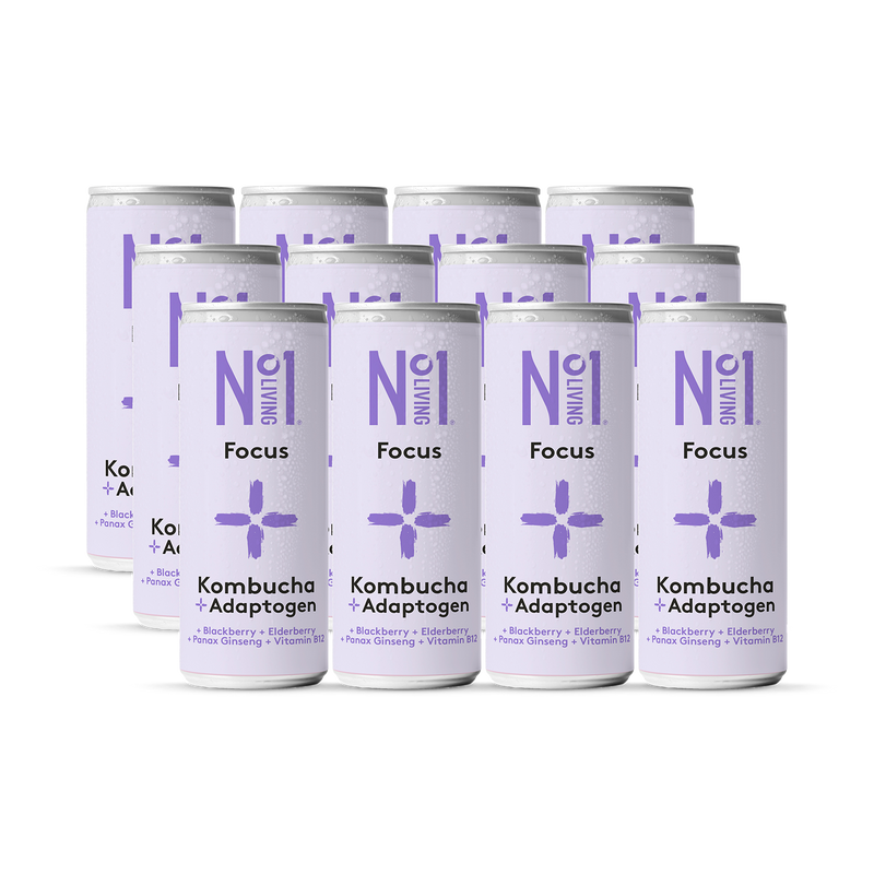 No1 Living Plus Focus Blackberry & Elderberry Kombucha 250ml - 998738