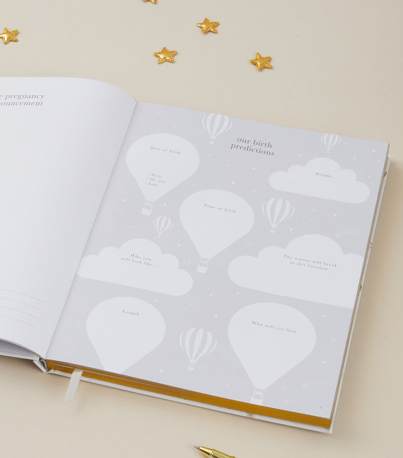 Blush and Gold pregnancy journal - British product