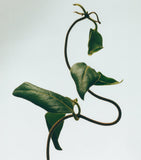 LOEWE Small Honeysuckle Scented Candle, UK version