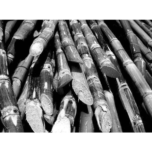 Fair 5 Year Old Belize Rum 70cl