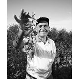 Fair Goji Liqueur 35cl