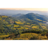 Faldeo Prosecco Rose   75cl