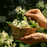 Durance Room Spray Jasmine 100ml - British product