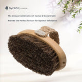 Hydrea London bamboo body brush with combination bristle, UK version
