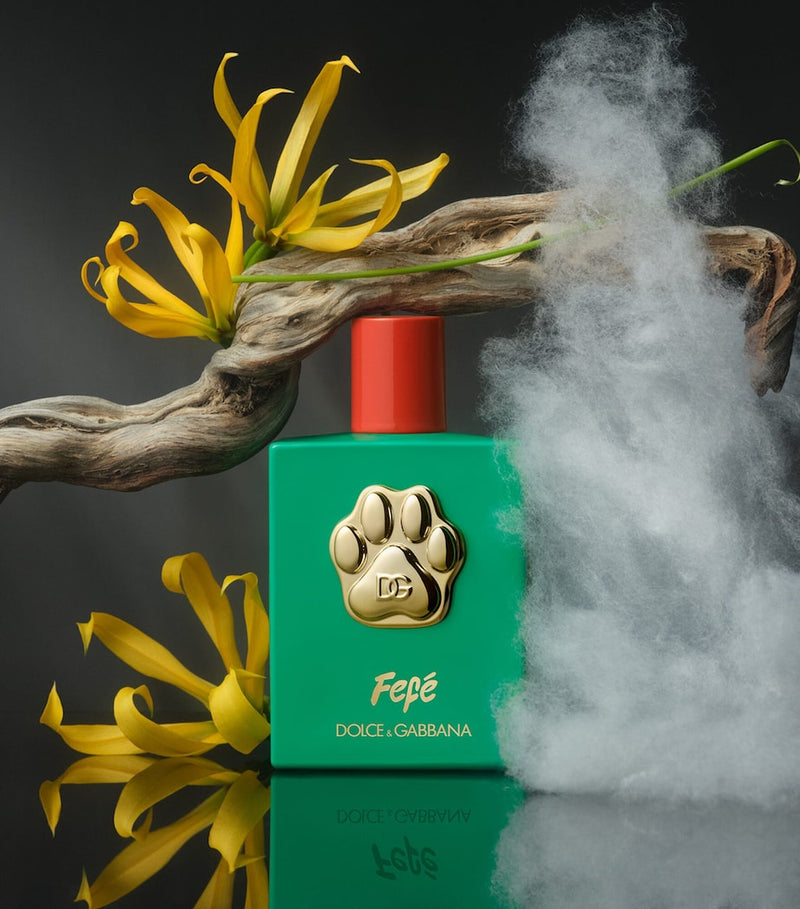 Dolce&Gabbana Fefé dog fragrance mist 100ml (British brand)