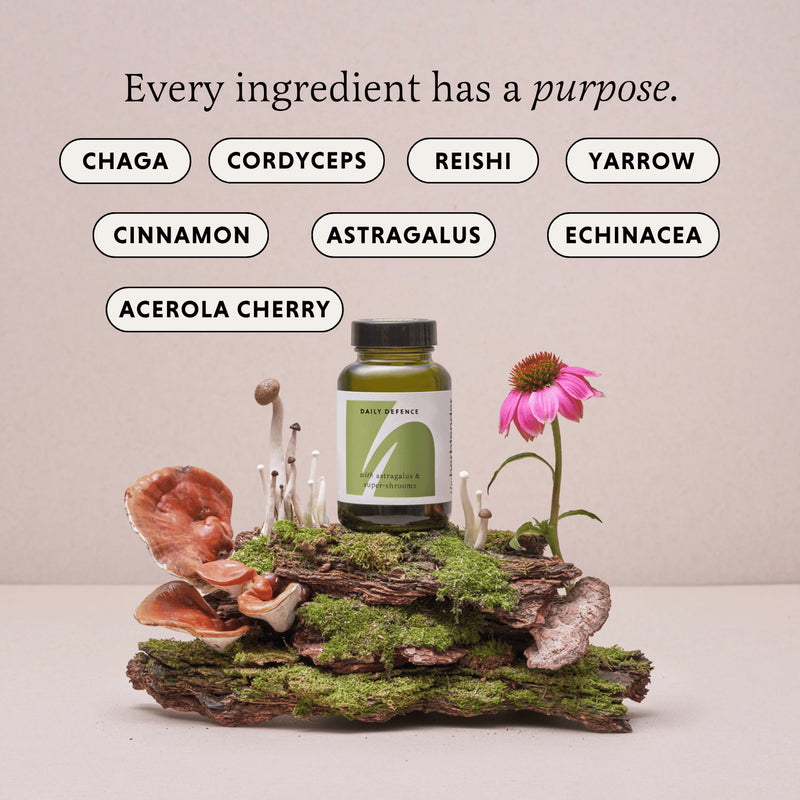 The Herbtender Immune Defence Capsules with Astragalus and Shrooms 60 Vegan, UK version