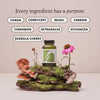 The Herbtender Immune Defence Capsules with Astragalus and Shrooms 60 Vegan, UK version