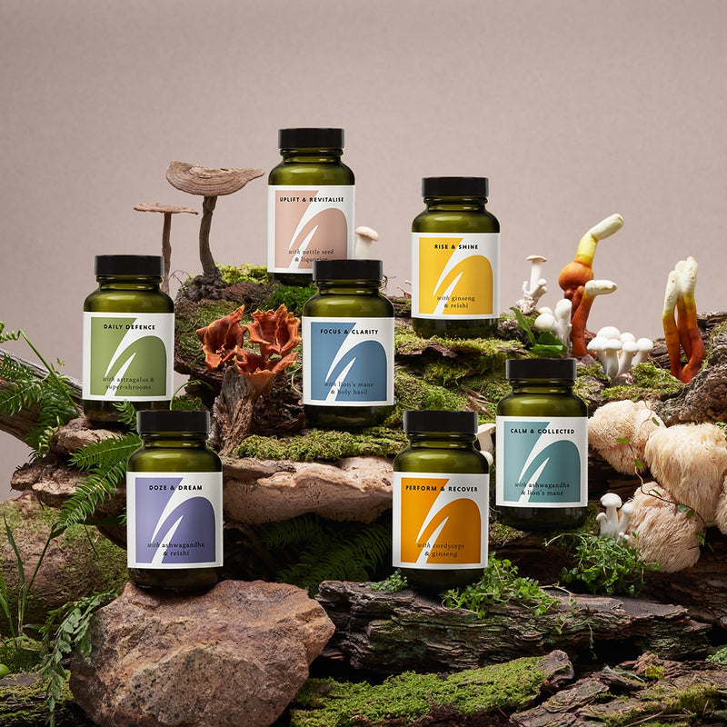 The Herbtender Immune Defence Capsules with Astragalus and Shrooms 60 Vegan, UK version
