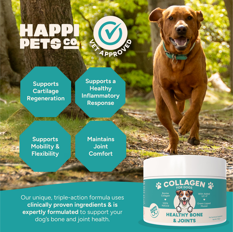 Happi Pets Collagen for Dogs 150 g, UK version