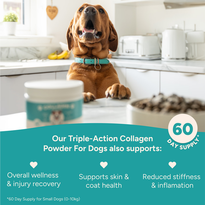 Happi Pets Collagen for Dogs 150 g, UK version