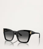 Jimmy Choo JC5012 acetate sunglasses, imported from the UK